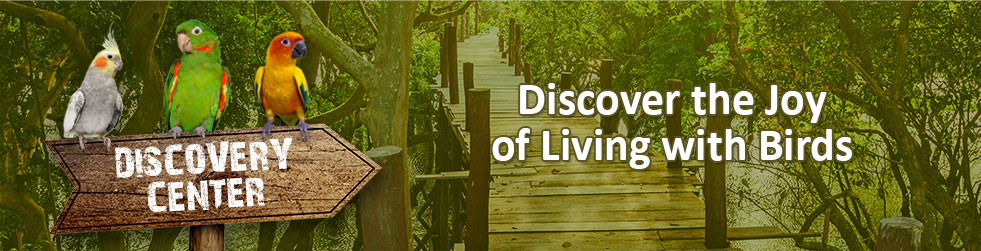 Discovery Center