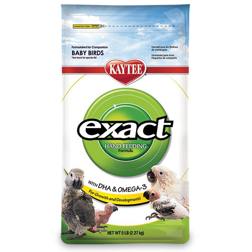 kaytee exact handfeeding baby bird food great companions kaytee exact handfeeding baby bird food great companions